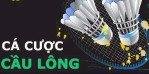 Cách Chơi Cá Cược Cầu Lông Tại ACB8 Hiệu Quả Nhất