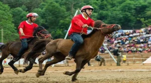 Tìm Hiểu Đua Ngựa ACB8: Trải Nghiệm Cá Cược Đỉnh Cao