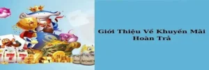 Hoàn Trả Không Giới Hạn Tại Nhà Cái ACB8: Ưu Đãi Đỉnh Cao