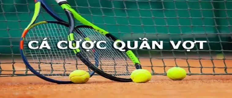 Tìm Hiểu Quần Vợt ACB8: Cá Cược Đỉnh Cao Cho Người Đam Mê 2 Tìm Hiểu Quần Vợt ACB8: Cá Cược Đỉnh Cao Cho Người Đam Mê